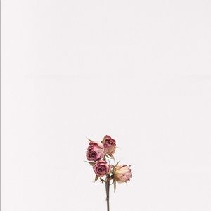 Meet your Posher, Daniela